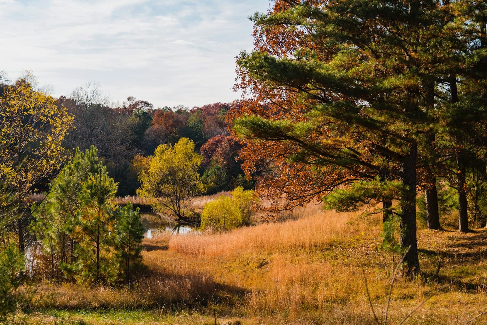 Autumn landscape with colorful fall foliage, rolling hills, and golden grassland under cloudy sky