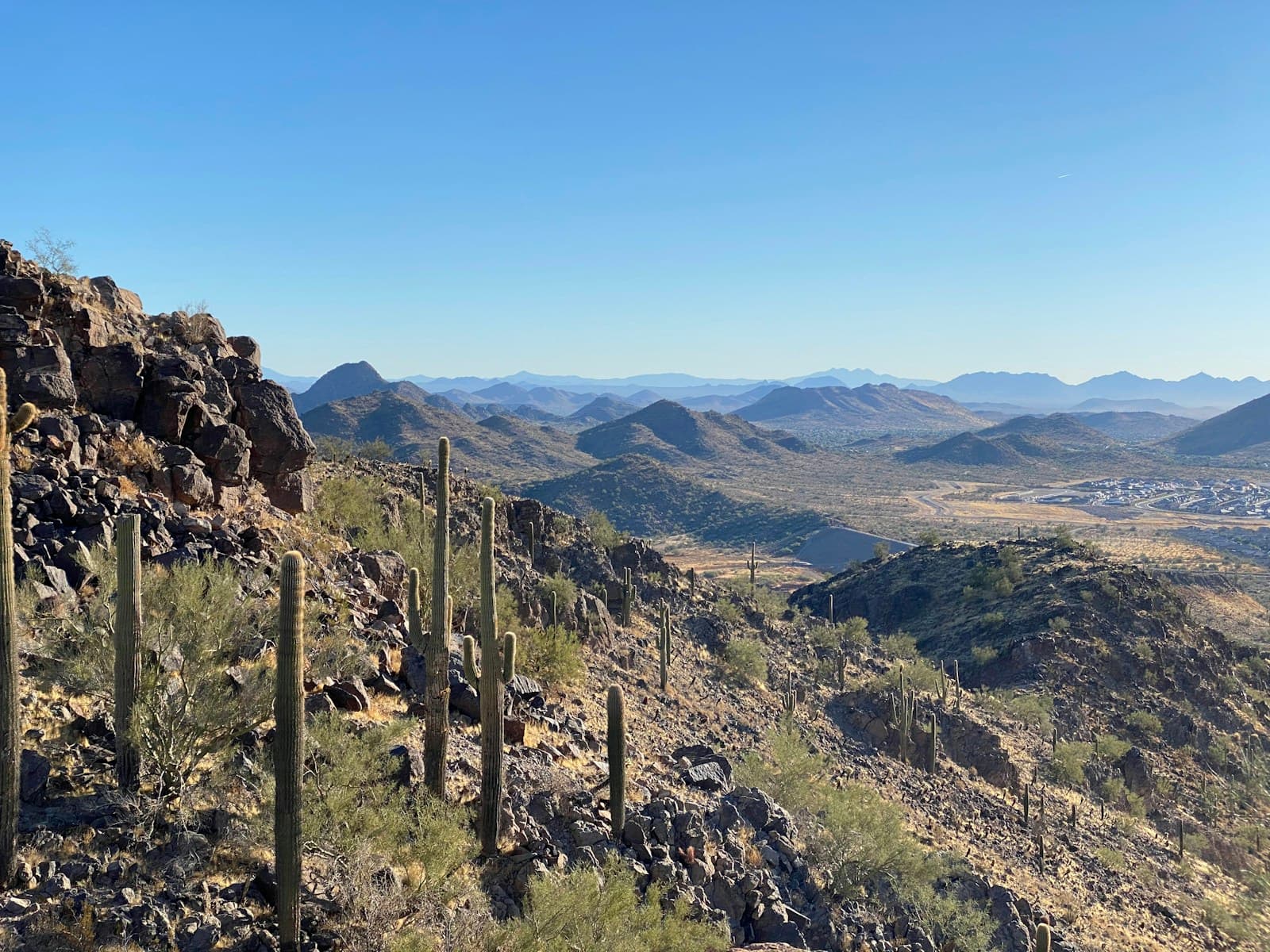 Desert landscape with saguaro cacti and mountain ranges under clear blue sky in the American Southwest