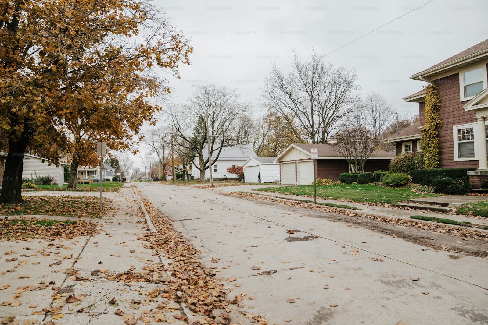 Autumn residential street with fallen leaves on wet pavement, suburban houses and bare trees under overcast sky