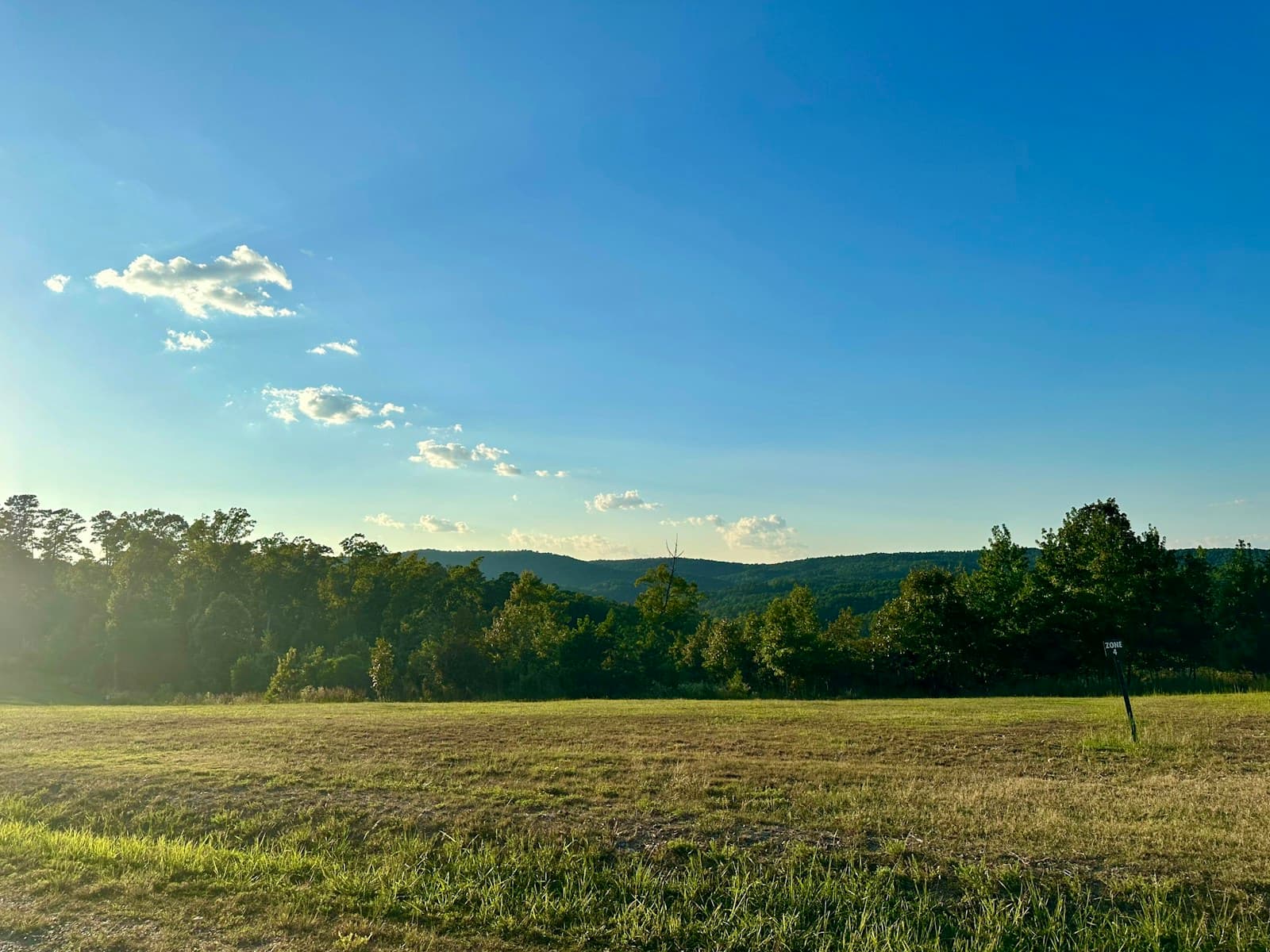 Sunny rural field with golden grass, green trees, and rolling hills under blue sky with white clouds