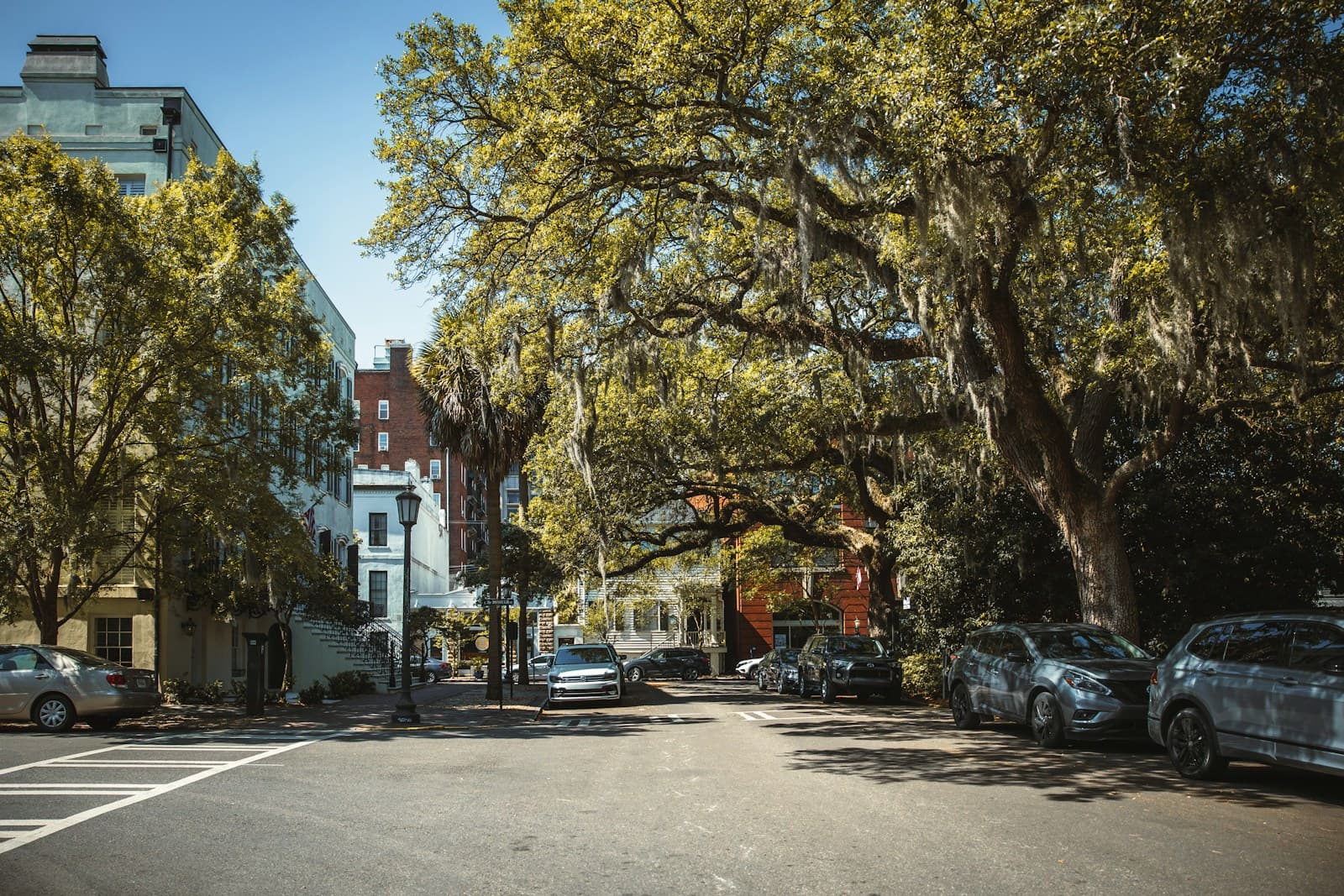Tree-lined urban street with parked cars and mixed residential buildings on a sunny day