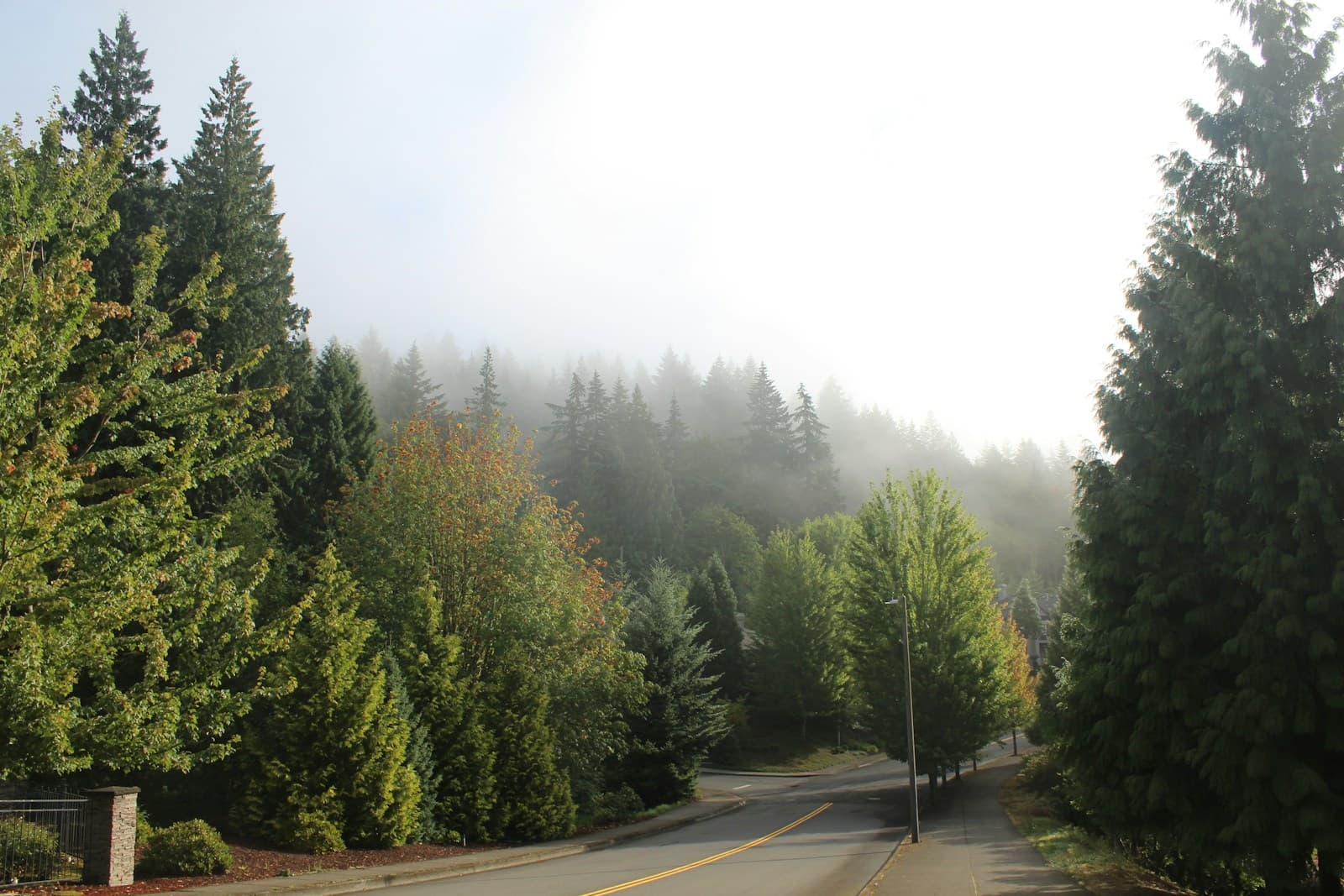 Gresham, Oregon cityscape and street view