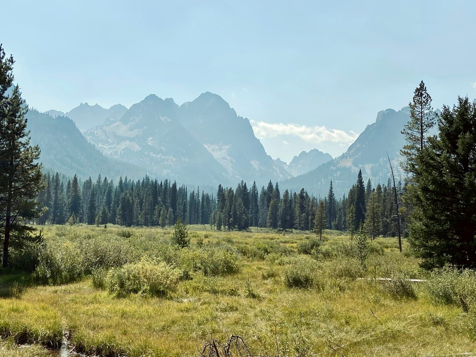Mountain landscape with snow-capped peaks, evergreen forest, and open meadow in foreground
