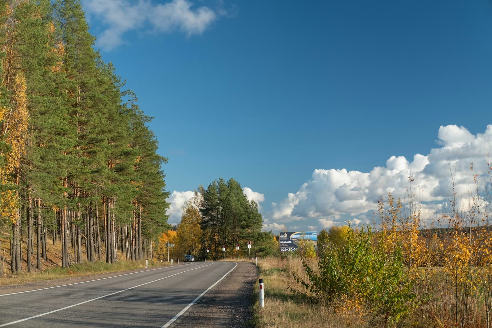 Two-lane rural road running between evergreens and autumn deciduous trees